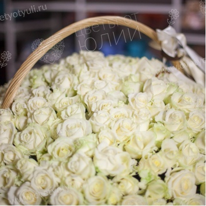 Корзина из 101 белой розы