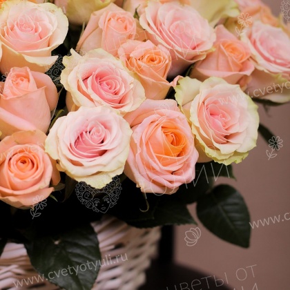 Корзина из 101 кремовой розы