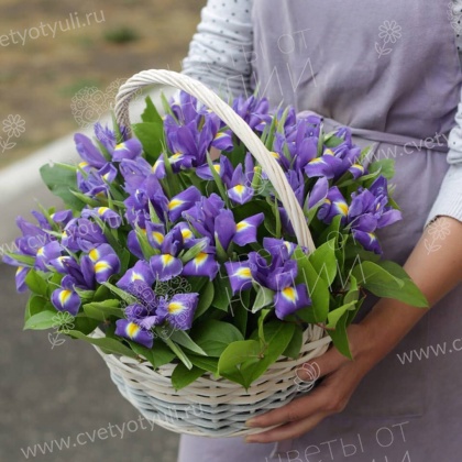 Корзина из 25 ирисов