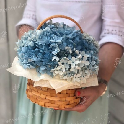 Корзина из 3 гортензий Голубой закат