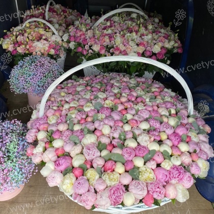 Корзина из 301 пиона