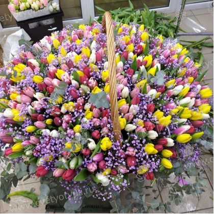 Корзина из 301 тюльпана и гипсофил Радужный водопад