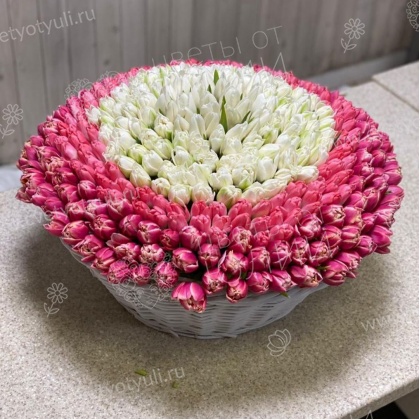 Корзина из 301 тюльпана