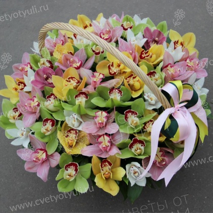 Корзина из 51 орхидеи