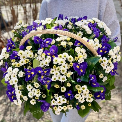 Корзина из ирисов и ромашек Аврелия