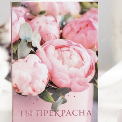 Красивая открытка с 4 шоколадками