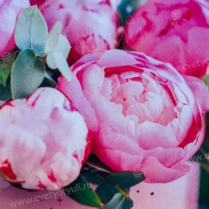 Красивая открытка с 4 шоколадками