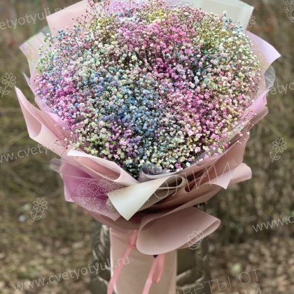 Букет из разноцветной 51 гипсофилы