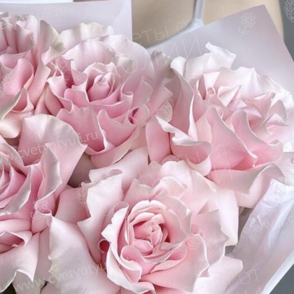 Букет из 5 французских роз