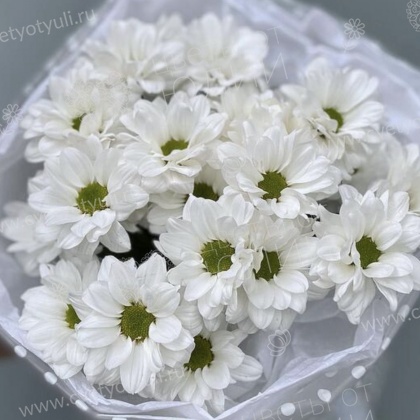 Букет из 3 кустовых хризантем