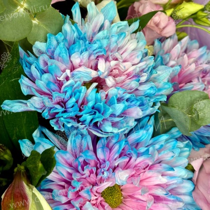 Букет сборный "Голубая лагуна"