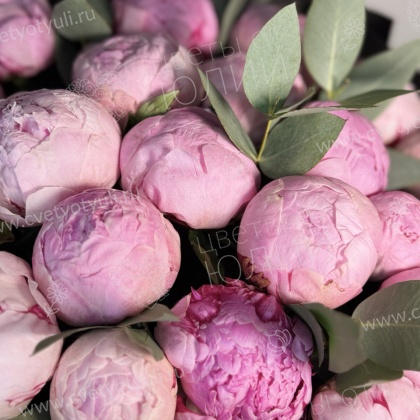 Букет из 21 пиона