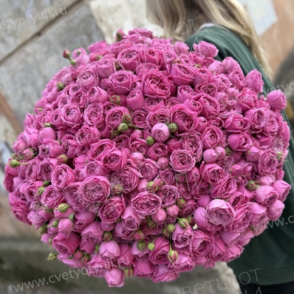 Букет из 101 кустовой пионовидной розовой розы