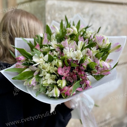 25 Альстромерий 