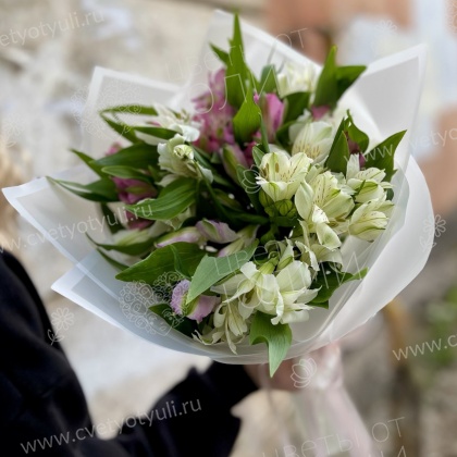 Альстромерии