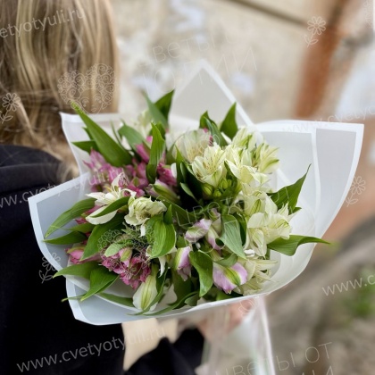 Альстромерии